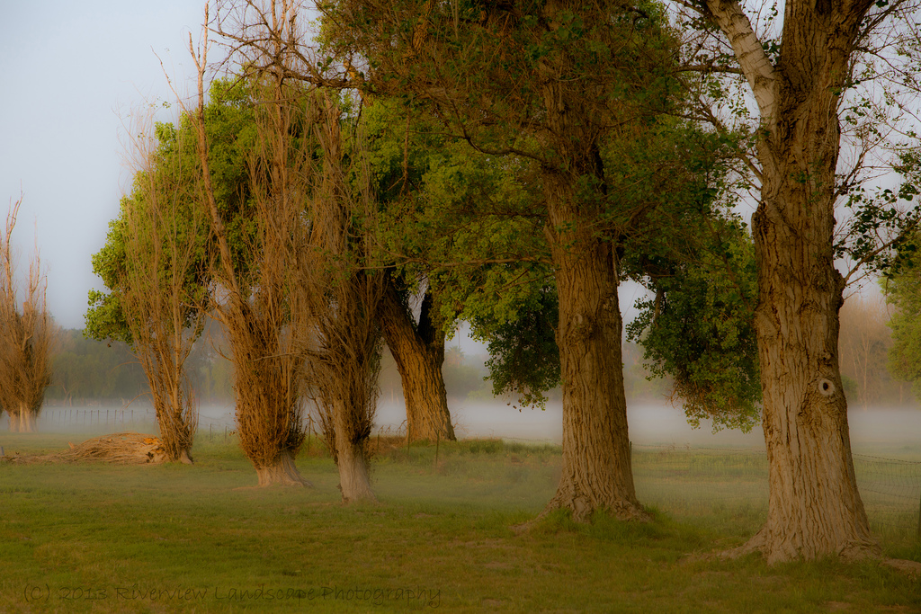 Rancho Jurupa Park by Robert Sirotnik