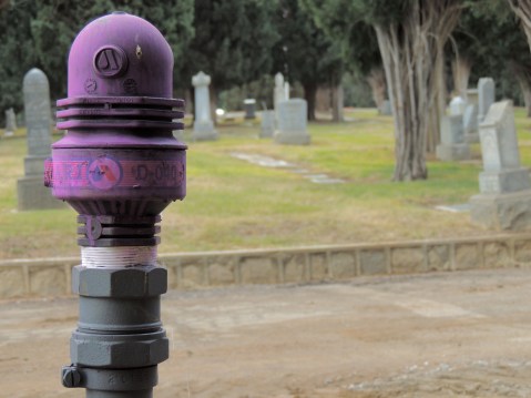 Jeff_Mays-Hillside_Memorial_Park